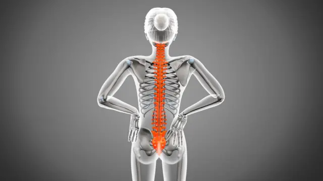 Ilustração das costas de uma pessoa, mostrando os ossos, com a espinha destacada em laranja
