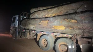 PM apreende madeira ilegal e caminhão durante operação em RO